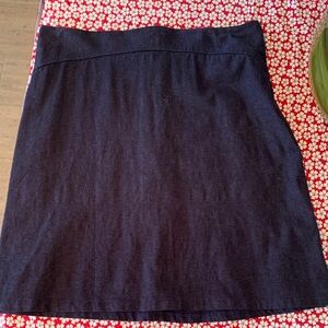 Smoking Lily Women's Dark Navy A-Line Skirt